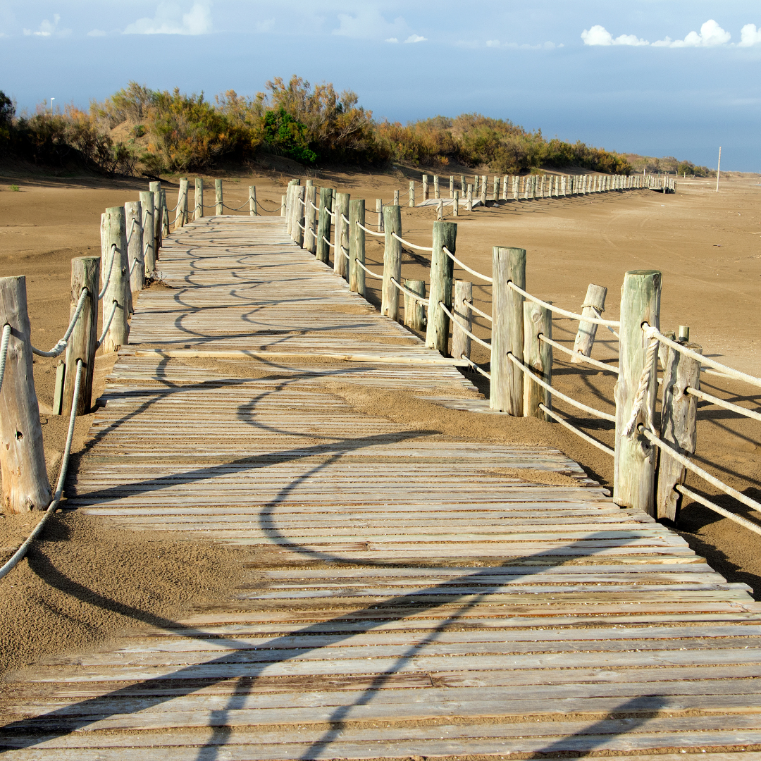 LA MARISMA- MONNÉ CASTEL SL LA MARISMA- MONNÉ CASTEL SL