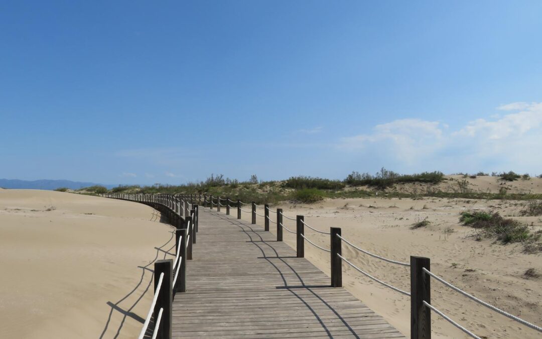 Riumar: el lugar ideal para tu segunda residencia en el Delta del Ebro